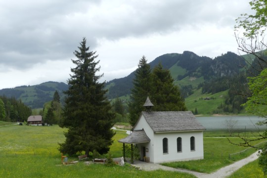 P1040994