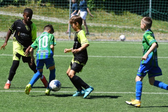 DSC_4591 (2)