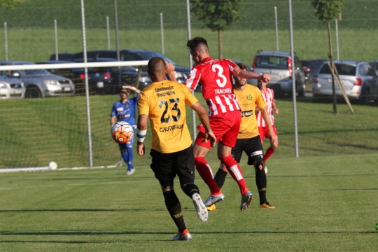 d31f528e1445594cb6862251f9af8402.jpg