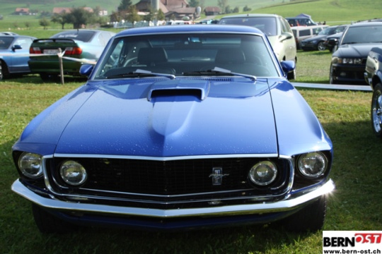 d3b254ce01caf2fc11ffb4b8350d3146.jpg