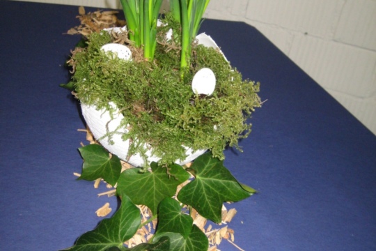 d3d894ed438fb1e9825ae5b752cbf38f.jpg