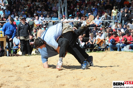 d3f6039bd248016538f582f81802c3c3.jpg