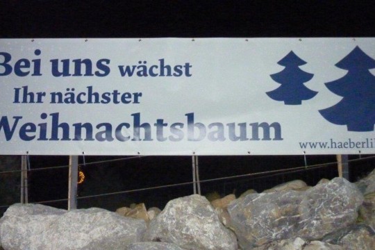 Tannenbäume 004.jpg