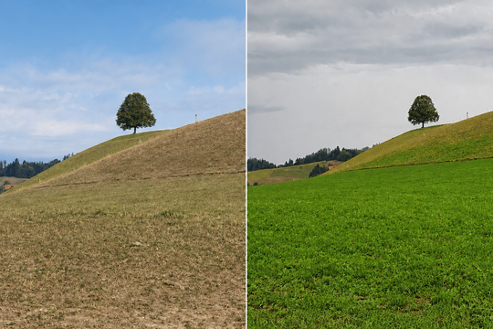 Bild Vor dem Regen &ndash; nach dem Regen