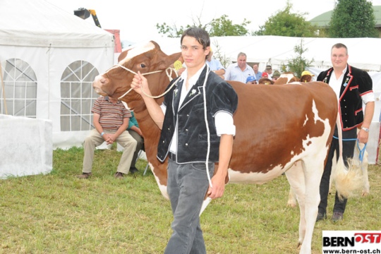 d4eb9fe5f9213b5a04196c431b488255.jpg