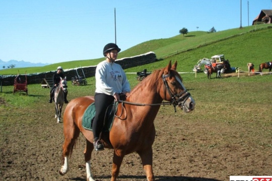 d4edbc732fafa08d962bcf1aaefbad28.jpg