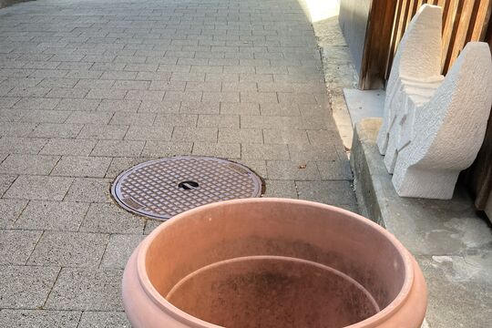 IMG_8498.jpeg