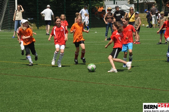 d64340bece9a65dcd29ee62871966711.jpg