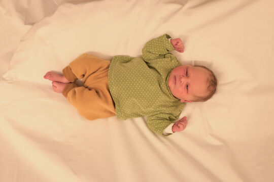 20250323-Hodel Quinn Amanda w Bowil 21 03 2025