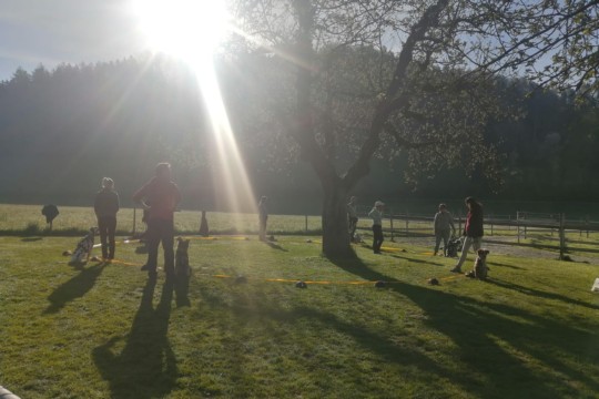 IMG-20240413-WA0013.jpeg