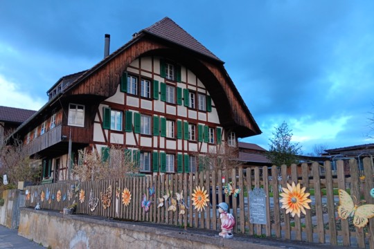 20240311_174846.jpg