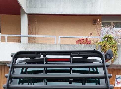 Bulli Träger 02.jpg