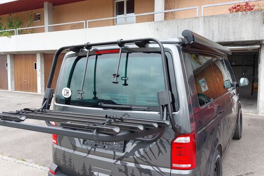 Bulli Träger 03.jpg