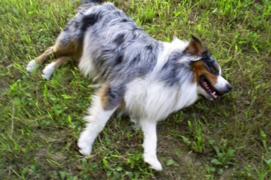 d6d7d4bfb36d88acd761d007ebe511e5.jpg