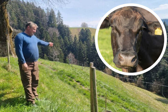 Bild &Uuml;berz&auml;hlige Tierparktiere auf dem Biohof Blaser &ndash; wirklich?