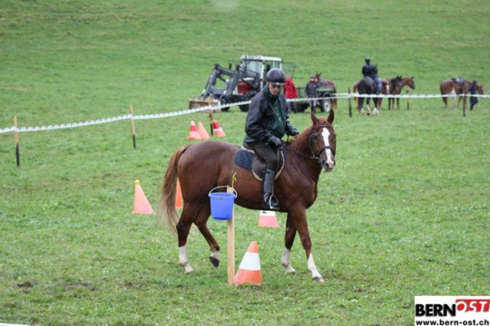 d74ff353f387e383463198273fd42bf3.jpg
