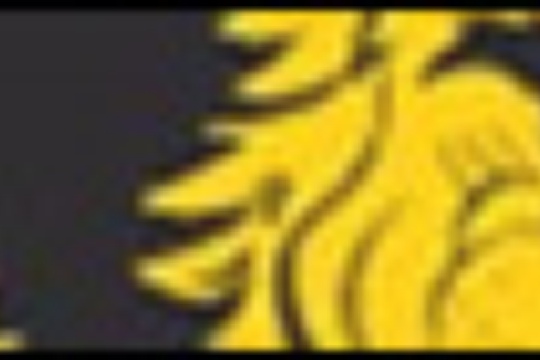 d76b0e8ebf6e1e6250e67860b063fba9.jpg