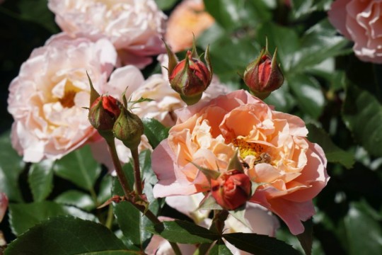 image001.jpg