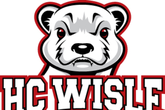 Logo Wiseli und Schrift.png