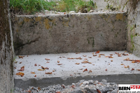 d7da3d5558379da1b4f5054cadabe4fd.jpg