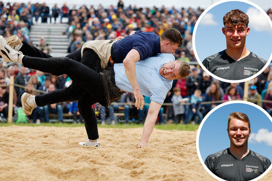 schwingen-High-Quality