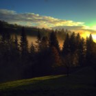 Profil Bild