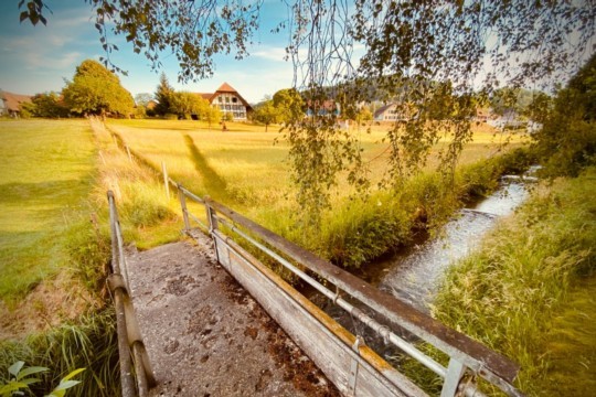 fussweg3