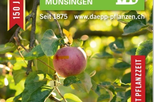 Screenshot 2025-10-09 135503.jpg