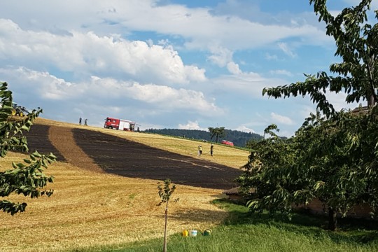 Unbenannt-1