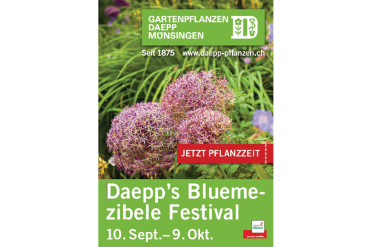 Cover Flyer_Bluemezibele Festival 2021-1
