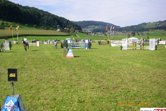 d942eef6aa32e5a66b8e2573101e82bc.jpg