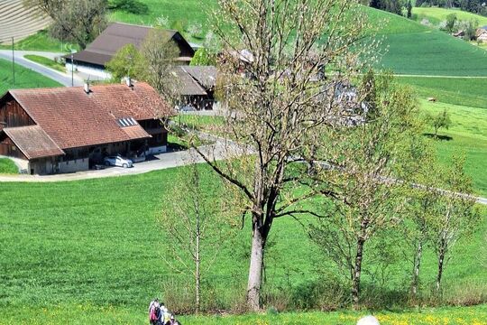 Bild ZAK-Wanderung zur Weiherlandschaft Ostergau LU