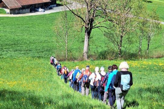 Bild ZAK-Wanderung zur Weiherlandschaft Ostergau