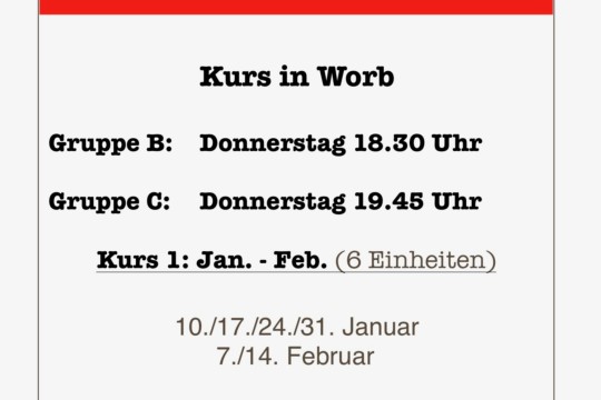 Einlageblatt SWEM BL_2019_1_Worb.jpg