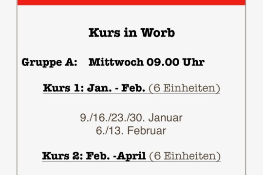 Einlageblatt SWEM SV_2019_1_Worb.jpg