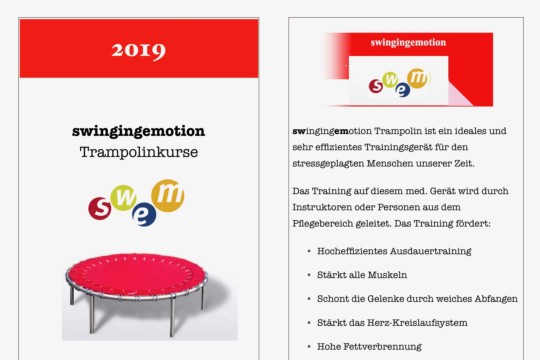 Flyer SWEM_2019 Worb.jpg