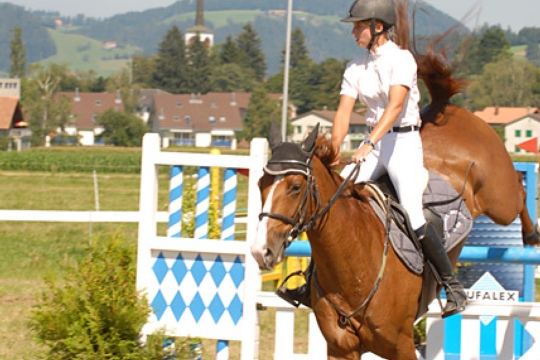 da7d58231f1dbd978b007921abd421e6.jpg