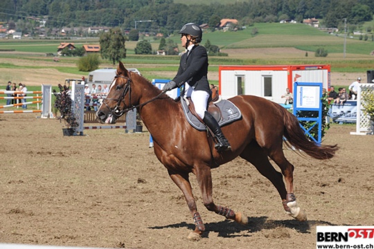 daa16771b251cc8cf3418534b41ebbc6.jpg