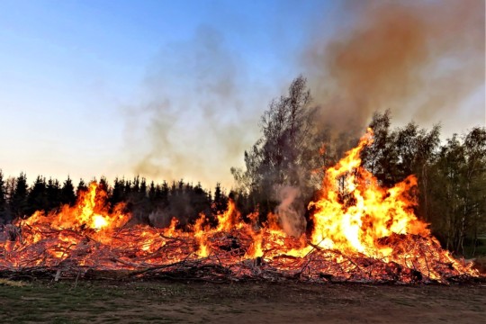 waldbrand