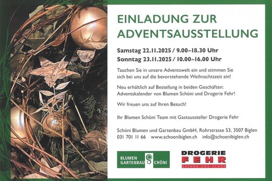 Xerox-Scannen 20251103 093543.jpg