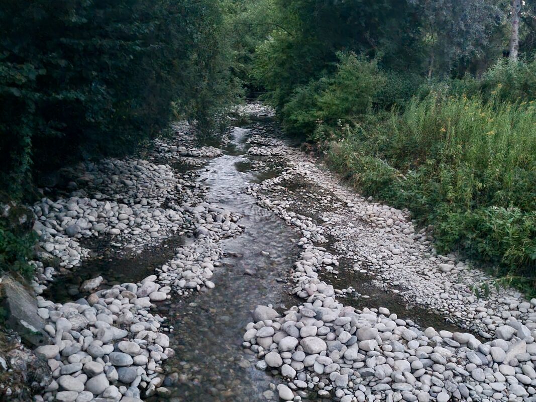 image 995313