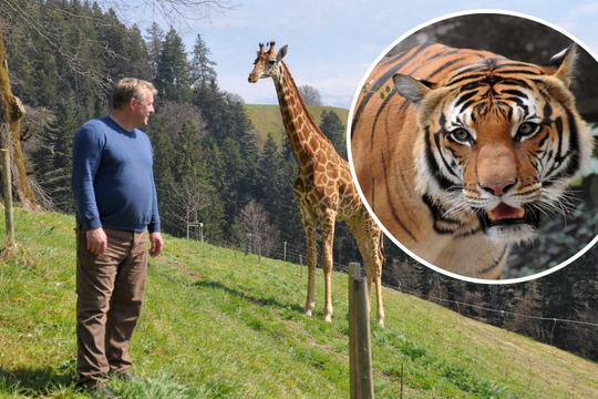 Bild Biohof Blaser bietet Zootieren eine neue Heimat