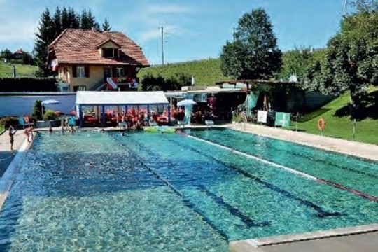 SVP Badi Event Banner.jpg