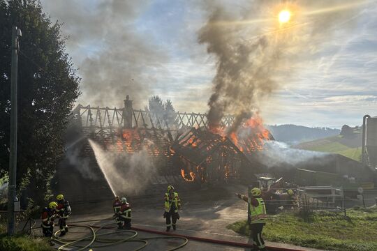 Biglen Brand Kapo Bern