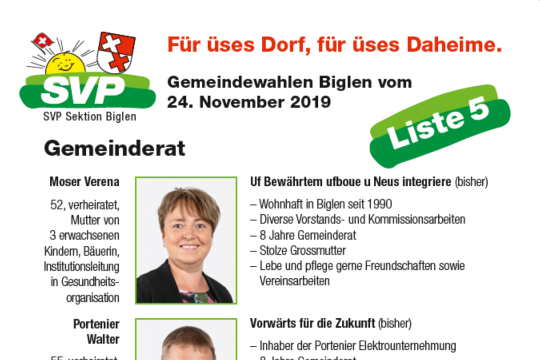 Gemeinderat.png