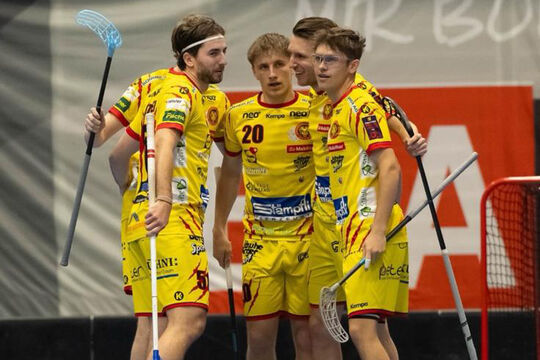 Bild Geduld, Kontrolle &ndash; und ein starker Schlussspurt der Tigers