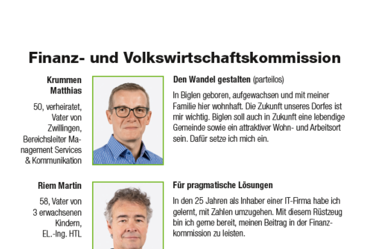 Finanz- und Volkswirtschaftskommission.png