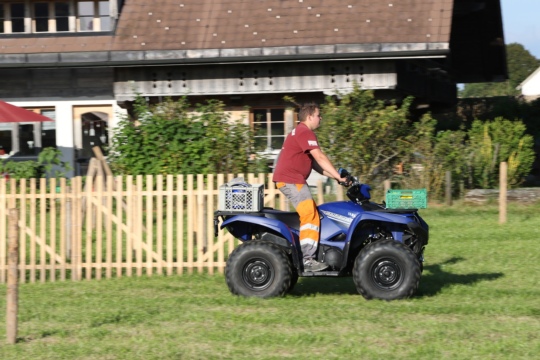 dd1be7953eb0d27a14ead2ab954d3135.jpg