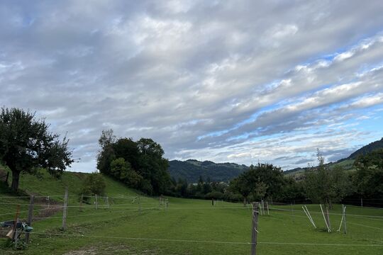 IMG_5847.jpeg