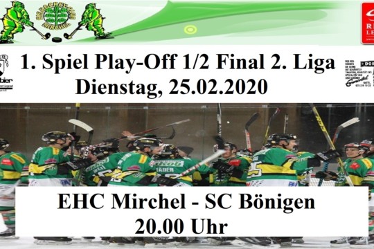 1. Spiel Play-Off 1.2 Final.jpg